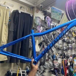 Active Cycle Custom Paint Bicycle Frame - Specialized
