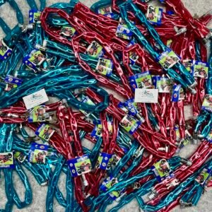 Bicycle Chain Lock