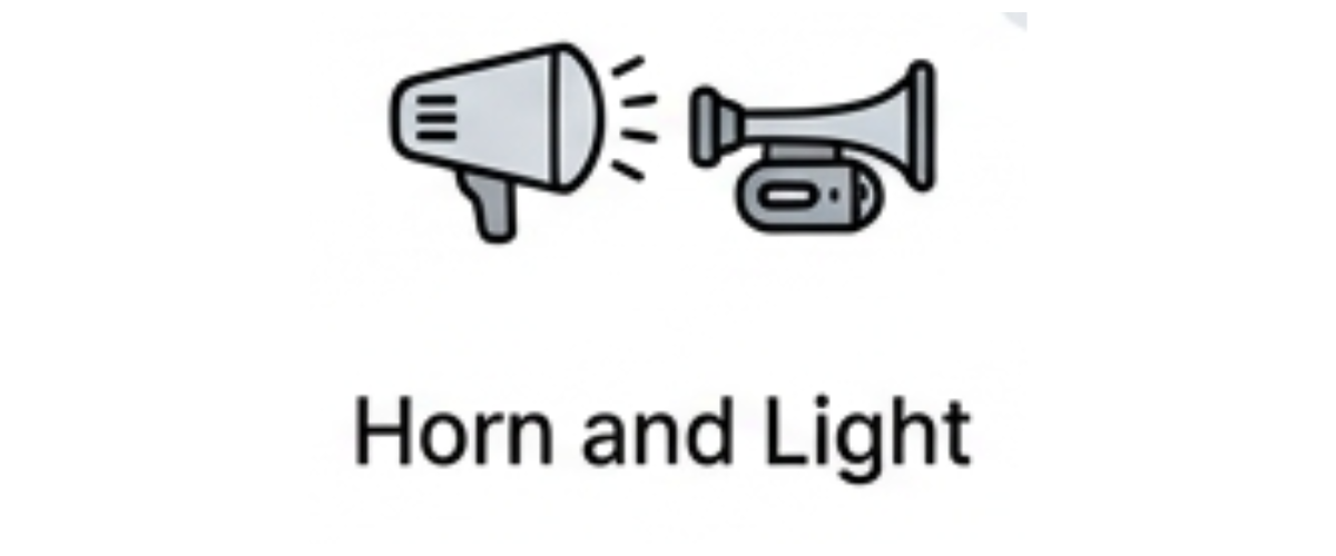Horn and Light category